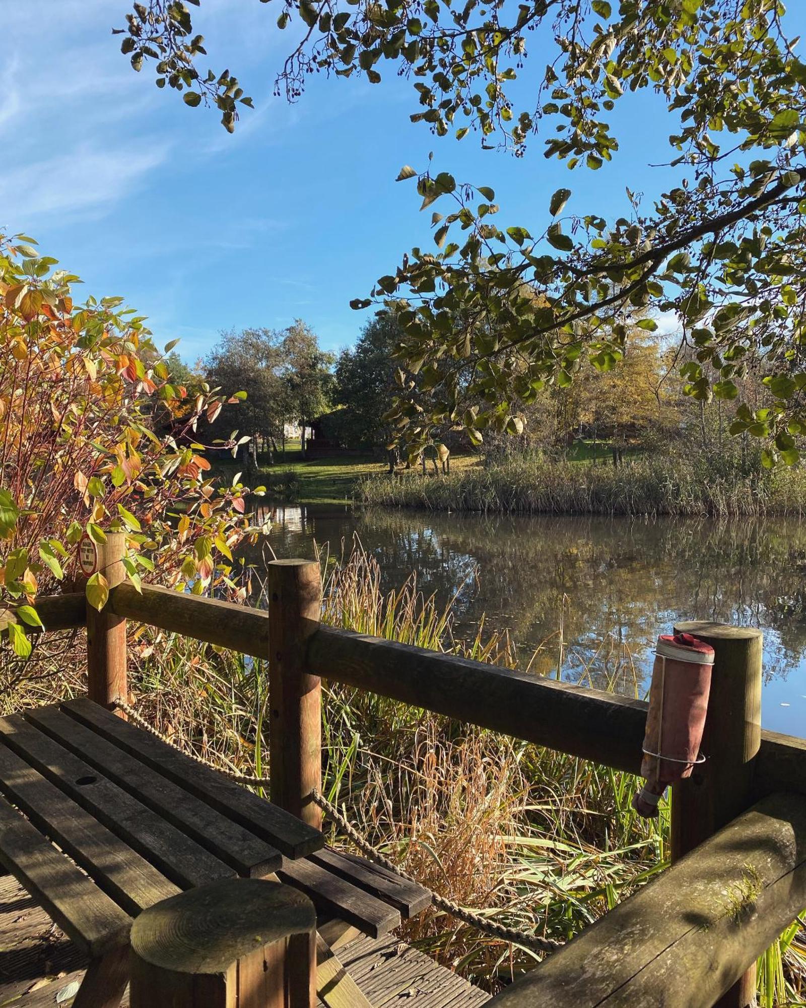 Angie's Haven Villa Morpeth Buitenkant foto